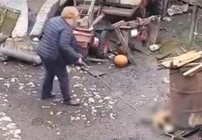 Жена во Србија до смрт претепува кученце, уапсена е (Вознемирувачко видео) 