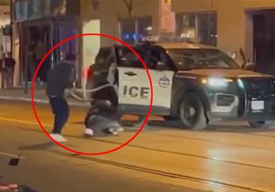 Видео: Најлуда улична тепачка, со змија го нокаутираше противникот
