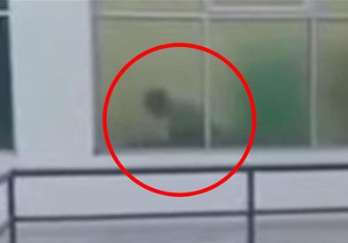 Видео: Доктор и сестра фатени во „жешка акција“, пациентите публика!!??