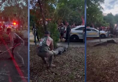 Момче се бори со алигатор пред училиште на Флорида, децата врескаат од страв (ВИДЕО)