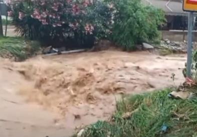 Солун под вода: Надојдените води носат возила и дрвја, порои по улиците (ВИДЕО)