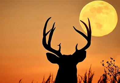 3 Јули, полна месечина или позната како „BUCK MOON”