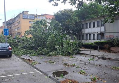 Двајца мажи загинаа во разорното невреме во Загреб, десетици повредени 