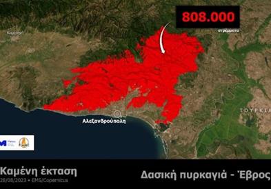 Веќе 11 дена активен е пожарот кај Еврос, изгорени над 80.000 хектари 