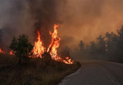 Пожарот во грчката област Еврос активен веќе 15 дена