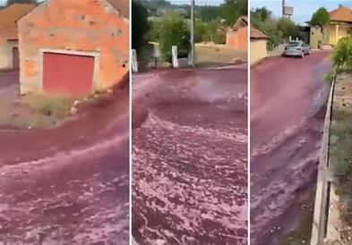 Видео: Вино течеше низ улиците на град во Португалија