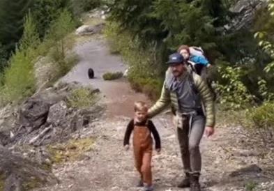  Едно семејство шетало низ шума, не насетувајќи дека нешто ги демне (видео)