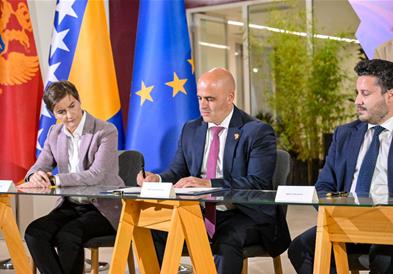 Признавање на квалификациите на медицински сестри, ветеринарни хирурзи, акушерки и фармацевти