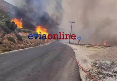 Голем пожар во јужниот дел на грчкиот остров Евија, превентивно евакуирани две села