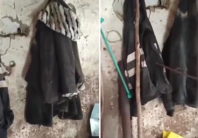 Човек поместува капут, закачен за закачалка, а потоа следува хорор (ВИДЕО)