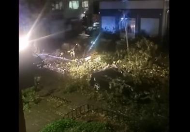 Најмалку двајца загинати во силно невреме со ветришта, дожд и снег во Бугарија (ВИДЕО)