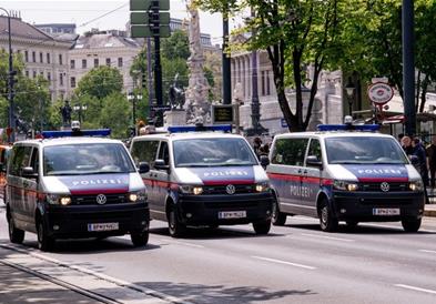 Мајка- монструм од Австрија: Го чувала синот (12) во транспортер за кучиња и го измачувала 