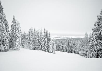 Почна зимата