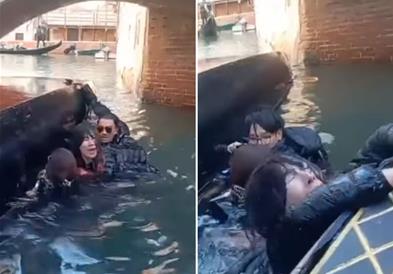 Сакале да направат селфи, завршиле во студената вода во канал во Венеција (ВИДЕО)