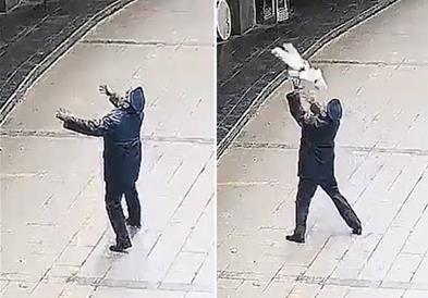 Херојски потег на полицаец- фати дете во лет додека паѓа од зграда и му го спаси животот(ВИДЕО)