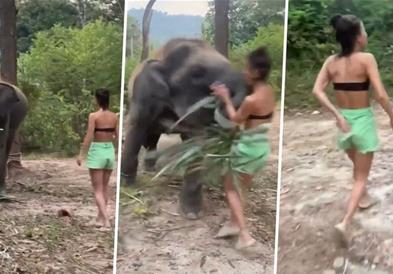 Сакала да се слика со слонче, па зажалила (ВИДЕО)