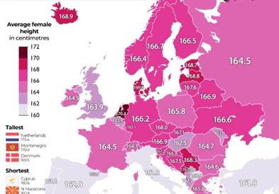 Македонките меѓу најниските во Европа, мажите близу европскиот просек