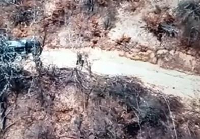 Курти објави видео од движења на српски специјалци на границата со Косово