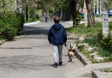 Момче го шетало кучето, па нашло богатство, старо 2.000 години (ФОТО)