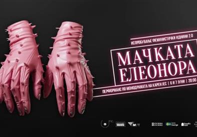 Перформансот „Мачката Елеонора“ во МКЦ