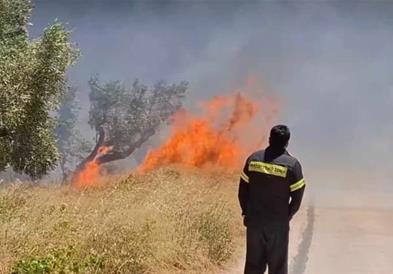 Голем пожар во источниот дел на областа Атика, поширокиот регион на Атина