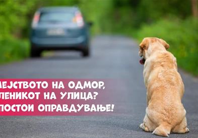 ЈП. Лајка: Семејството на одмор, миленикот на улица?