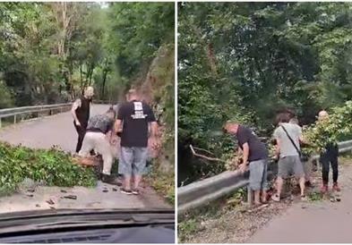 Екипата од „Црвена јабука“ наишла на паднато дрво на патот