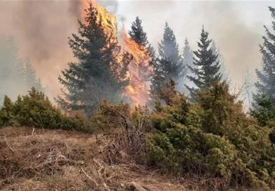 За утре е вклучен аларм во Грција поради ризик од пожари и температура над 40 степени 