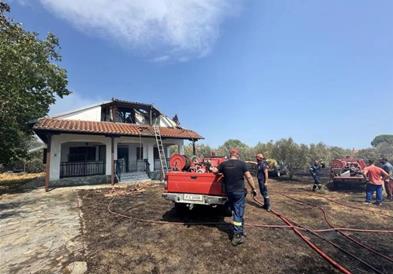 Ставен под контрола шумскиот пожар во близина на грчкиот град Литохоро