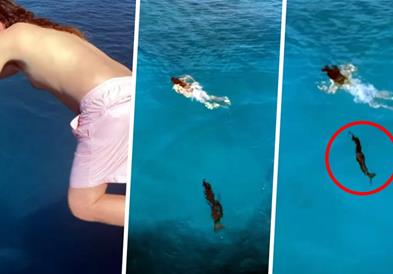 Момче скокна во море, кога кон него со 40 км/час заплива страшна грабливка (ВИДЕО)