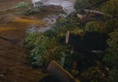 Силно невреме синоќа зафати поголем дел од Албанија