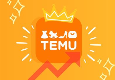Европската комисија ќе отвори постапка против Тему