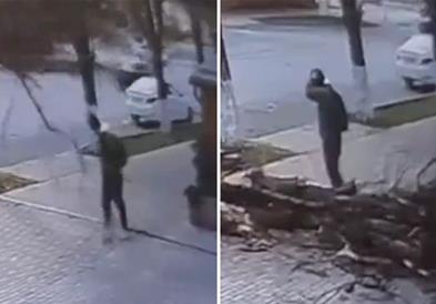 Дрво падна на тротоар- човек за дел од секунда остана жив (ВИДЕО)