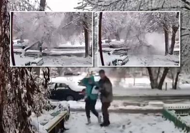 Дрво падна врз жена додека се шетала по снежна патека, едвај ја извлекоа (ВИДЕО)