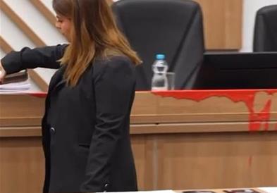 Инциденти на седницата на Советот во Белград– истурена црвена боја  