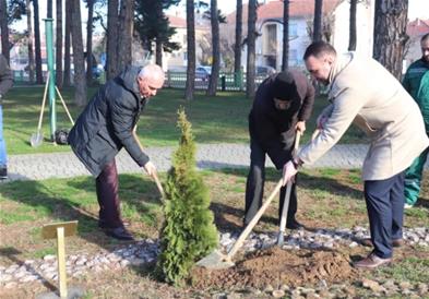 Актерот Борис Чоревски засади дрвце во Алеја на наградените за животно дело во Битола
