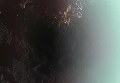 Први фотографии од површината на Месечината по слетувањето на мисијата „Blue Ghost“