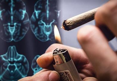 Откриено загрижувачко влијание на марихуаната врз функциите на мозокот
