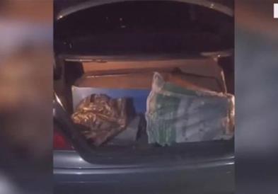 Албанската полиција спречила шверц на оружје и фалсификувани документи наменети за Македонија