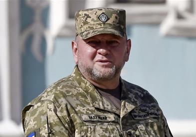 Украинскиот генрал Залужни: НАТО во блиска иднина би престанал да постои 