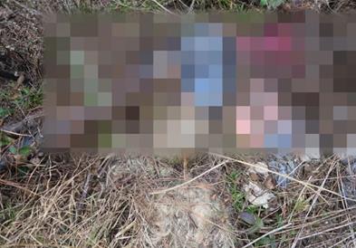 Добиле дојава за безживотно тело –полицијата попусто 5 часа ја пребарувала шумата (ВИДЕО)