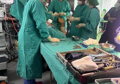 За првпат во Македонија е изведена трансплантација на менинкус од починат дарител