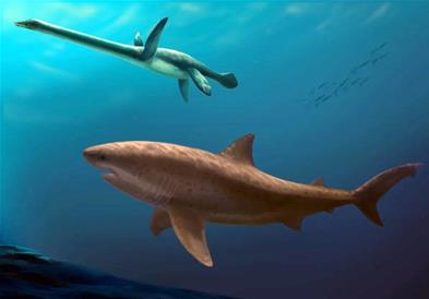 Откриени се остатоци од праисториска ајкула долга осум метри