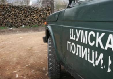 Приведен дрвокрадец од село Мартолци, Општина Чашка