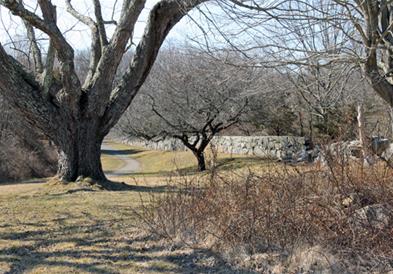 Идната недела сончево и тивко, со натпросечни температури