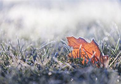 Утрово најстудено во Берово, измерени -7 степени