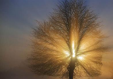 Променливо облачно со сончеви периоди