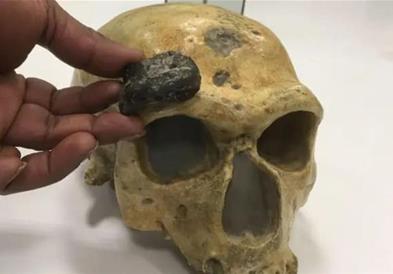 Реконструирано лице на Хомо-еректус од пред 1,5 милиони години, научниците делумно изненадени