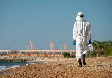 Морето исфрли огромно суштество со страшна глава, долго над 4 метри (ФОТО)