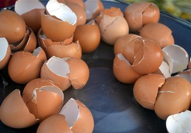 Како лушпите од јајца можат да го подобрат вашиот дом и да заштедат пари